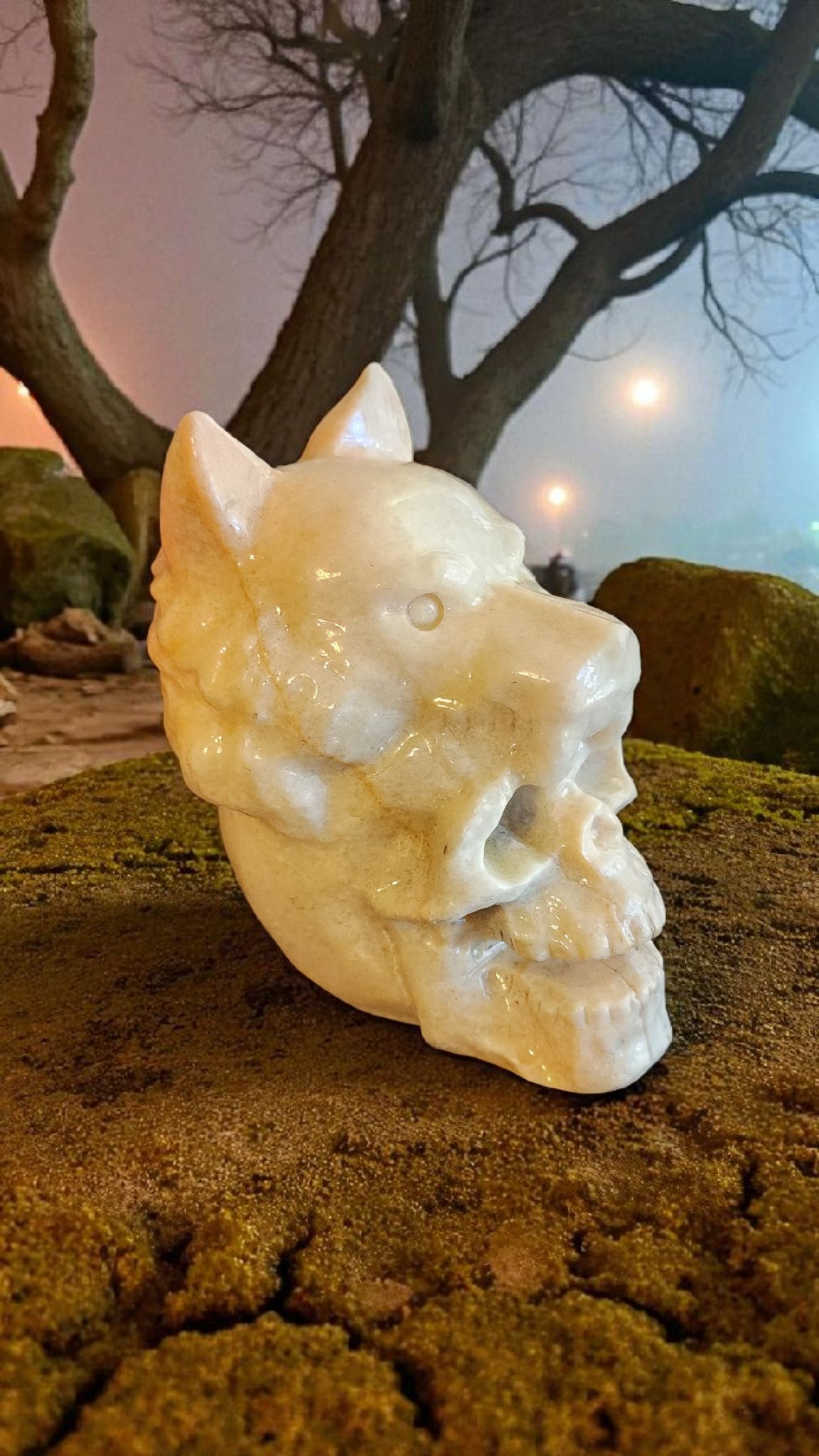 Jade wolf with skull combo