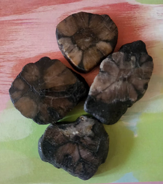 Chiastalite raw specimans