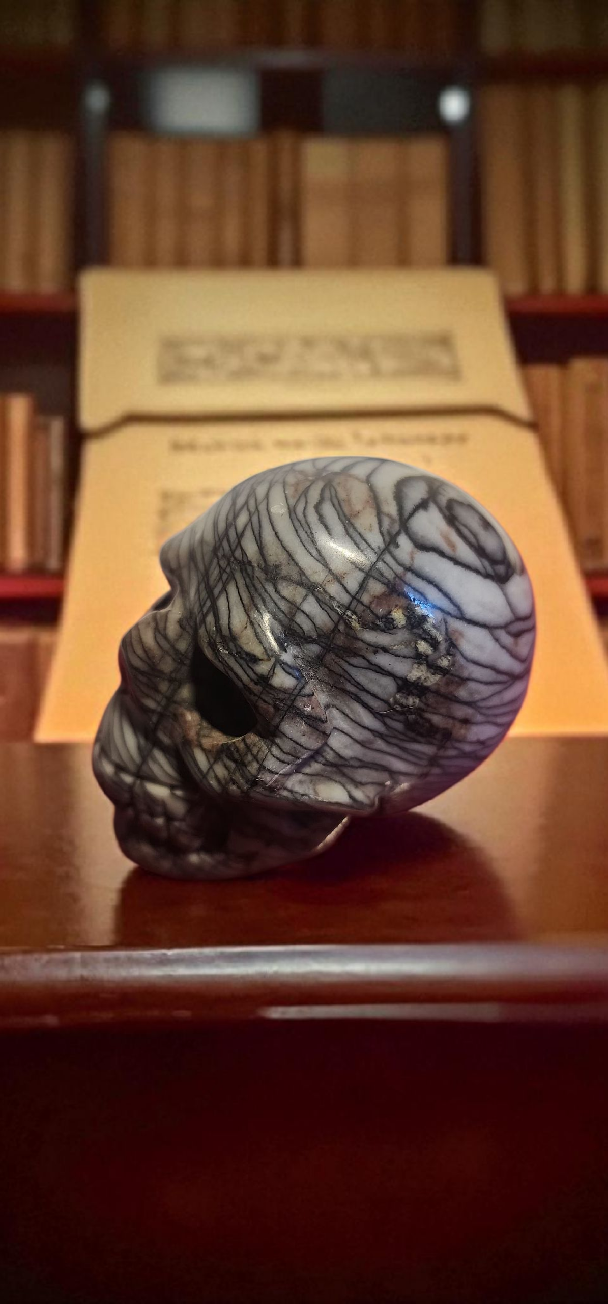 Black Spiderweb Jasper skulls