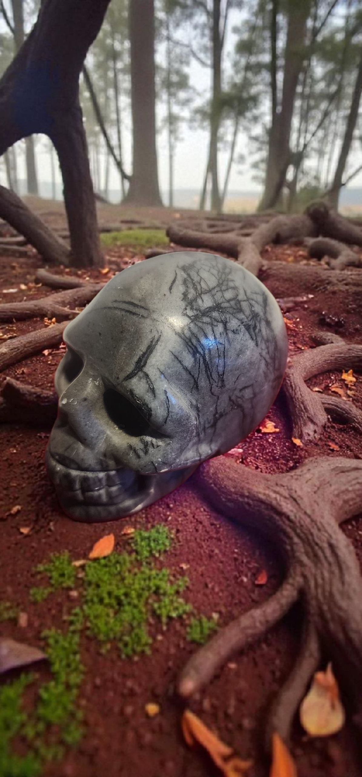 Black Spiderweb Jasper skulls